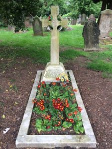 13296042_10207825213520973_1199139382_n